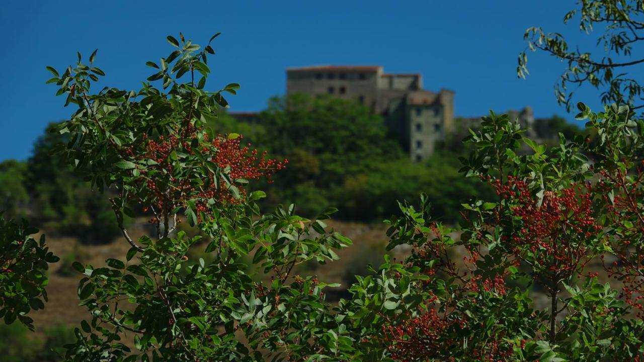 La Terrazza Sul Lago Turano Castel di Tora Luaran gambar